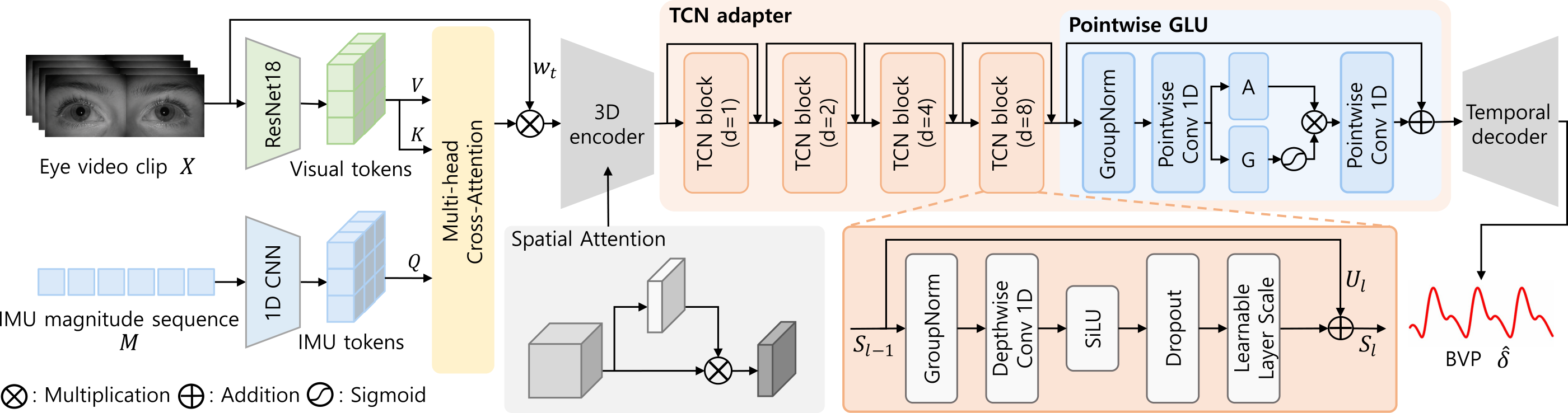 BEAT architecture: IMU-conditioned NIR video encoder, location-wise bottleneck DW-TCN adapter, temporal decoder, and MPPL supervision
