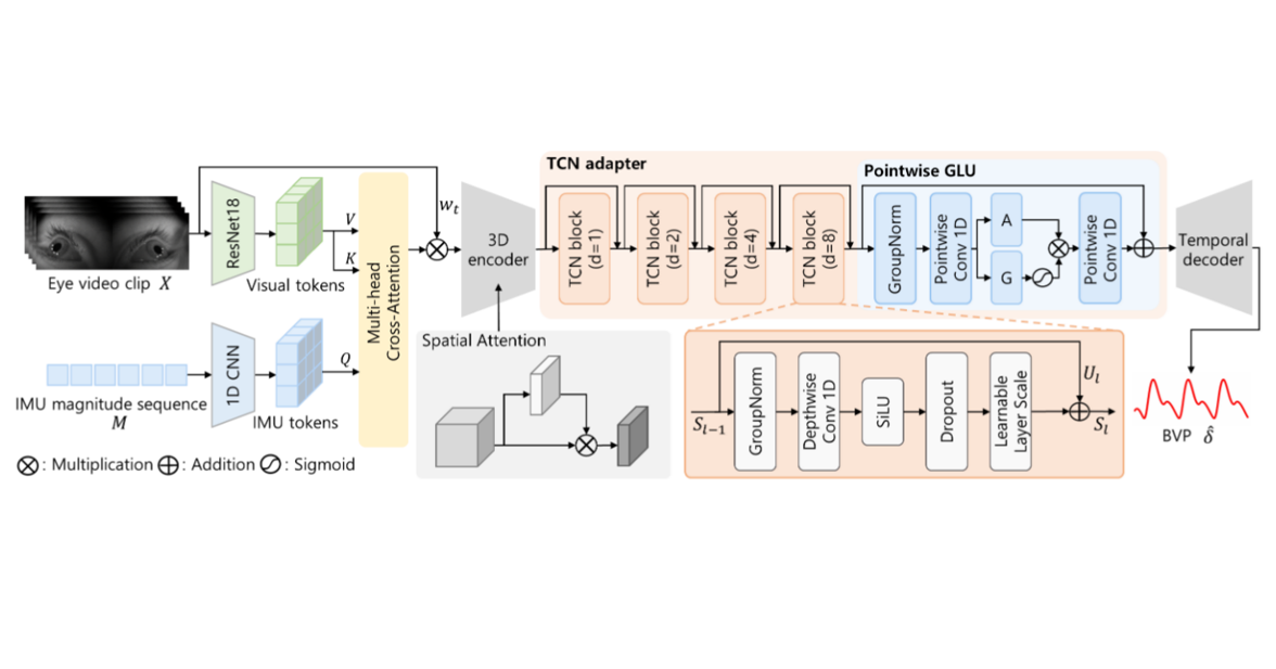 BEAT architecture for heart rate estimation from egocentric NIR eye videos